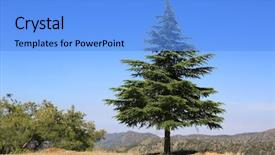  Presentation with tree and child - Slide deck with scene with pine tree in mountains background and a light blue colored foreground