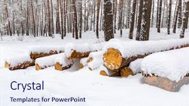  Presentation with pine forest - Beautiful slides featuring scene with wooden logs in winter pine forest backdrop and a sky blue colored foreground