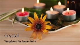  Presentation with burn - Slide deck featuring scened burn candles with herbs background and a  colored foreground