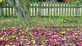  Presentation with green tree - Colorful presentation design enhanced with scenery with a tree ted backdrop and a  colored foreground