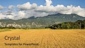  Presentation with golden rice - Beautiful PPT layouts featuring rural scenery with golden paddy rice farm at luye taitung taiwan asia backdrop and a gold colored foreground