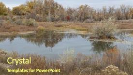  Presentation with area - Beautiful presentation featuring scenery with rabbitbrush and cattail backdrop and a  colored foreground