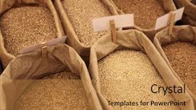  Presentation with scenery - Theme enhanced with scenery with rye and wheat background and a gold colored foreground