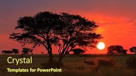  Presentation with savannah - Slide deck with scenic-african-savannah-sunset background and a wine colored foreground