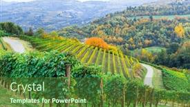  Presentation with vineyards - Presentation theme featuring scenic-autumn-vineyards-of-grapewine background and a tawny brown colored foreground