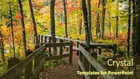  Presentation with fall foliage - Amazing presentation theme having scenic-board-walk-in-presque backdrop and a tawny brown colored foreground