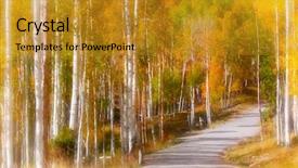  Presentation with scenic - Cool new presentation theme with scenic drive through aspen trees backdrop and a  colored foreground