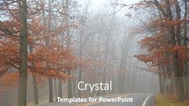  Presentation with fog - Slide deck with frozen plants grown with ice background and a light gray colored foreground.