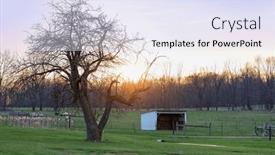  Presentation with scenic - 