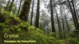  Presentation with scenic - Slide deck consisting of scenic-forest-of-fresh-green and a tawny brown colored foreground