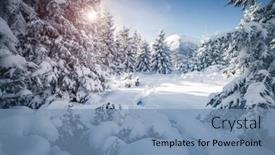  Presentation with tale - Slides featuring scenic image of fairy-tale woodland in sunlit frosty day on ski resort location carpathian national park ukraine europe superb tourism wallpapers explore the beauty of earth happy new year background and a seafoam green colored foreground