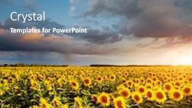  Presentation with weather climate - Presentation theme featuring scenic-image-of-ominous-stormy background and a teal colored foreground