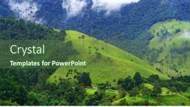  Presentation with wax - Audience pleasing presentation consisting of scenic-landscape-of-tall-wax backdrop and a tawny brown colored foreground