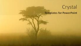  Presentation with kalahari - Amazing presentation theme having scenic-landscape-with-a-tree backdrop and a yellow colored foreground