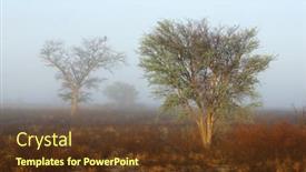  Presentation with landscape desert - Presentation design with scenic-landscape-with-trees background and a tawny brown colored foreground