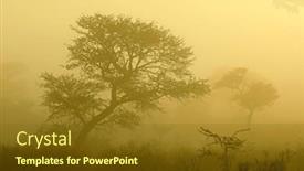  Presentation with kalahari - Theme with scenic-landscape-with-trees background and a tawny brown colored foreground