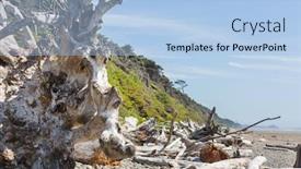  Presentation with olympic - Amazing presentation design having scenic-pacific-coast backdrop and a light blue colored foreground