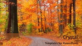  Presentation with pine trees sun shining through - Amazing presentation theme having scenic road through bright autumn backdrop and a red colored foreground