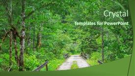  Presentation with forest road green - Slides having scenic-road-through-lush-green background and a forest green colored foreground