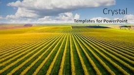  Presentation with earth land - Amazing presentation theme having scenic-rows-of-blackcurrant-bushes backdrop and a light blue colored foreground