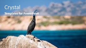  Presentation with clear water - PPT theme featuring scenic-sardinia-island-landscape-italy background and a teal colored foreground