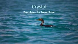  Presentation with clear water - Audience pleasing presentation theme consisting of scenic-sardinia-island-landscape-italy backdrop and a ocean colored foreground