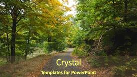  Presentation with forest road - Amazing slide set having scenic shot of narrow road backdrop and a tawny brown colored foreground