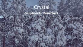  Presentation with winter forest - 