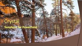  Presentation with winter forest - 