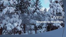  Presentation with winter forest - 