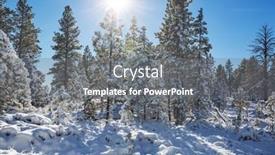  Presentation with forest winter - 