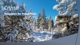  Presentation with winter forest - 
