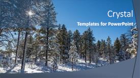  Presentation with forest winter - 