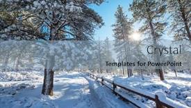  Presentation with winter forest - 