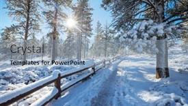  Presentation with forest winter - 