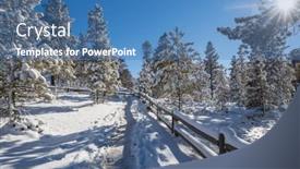  Presentation with forest winter - 