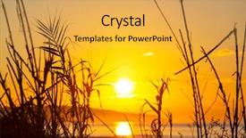  Presentation with sunset coast of the sea - Beautiful slides featuring scenic sunset at the sea backdrop and a yellow colored foreground