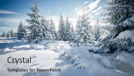  Presentation with climate - Audience pleasing theme consisting of scenic view - magic image of spruces glowing backdrop and a light blue colored foreground