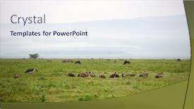  Presentation with scenic - Amazing slide deck having scenic-view-in-tanzania backdrop and a sky blue colored foreground