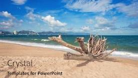  Presentation with scenic - Cool new PPT layouts with scenic-view-of-nha-trang backdrop and a coral colored foreground