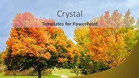  Presentation with color full - Presentation theme with scenic-view-of-trees background and a light blue colored foreground