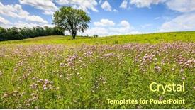  Presentation with scenic - Slide deck with scenic view of wildflowers field background and a tawny brown colored foreground