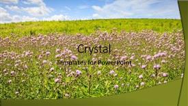  Presentation with kentucky - Colorful slide set enhanced with scenic view of wildflowers field backdrop and a  colored foreground