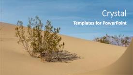  Presentation with scenic views - Cool new PPT theme with scenic views of an american desert backdrop and a teal colored foreground