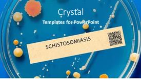  Presentation with cause - Slide set consisting of schistosomiasis-parasitic-infection background and a ocean colored foreground