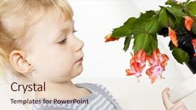  Presentation with cactus - PPT theme with schlumberger - portrait of little with christmas background and a lemonade colored foreground