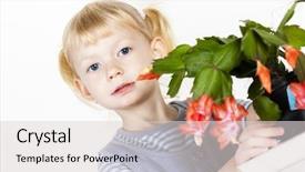  Presentation with cactus - Colorful slides enhanced with schlumberger - portrait of little with christmas backdrop and a light gray colored foreground