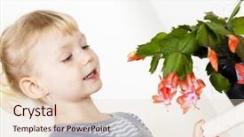  Presentation with cactus - Theme enhanced with schlumberger - portrait of little with christmas background and a lemonade colored foreground