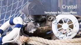  Presentation with puppy - Slides enhanced with schnauzer puppy captain background and a seafoam green colored foreground