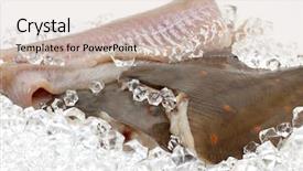  Presentation with ice - Colorful theme enhanced with schol - fresh flounder on ice backdrop and a soft green colored foreground